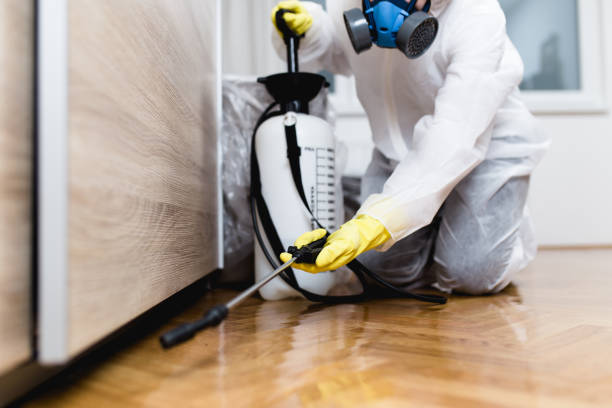 Best Residential Pest Control  in Atkinson, IL