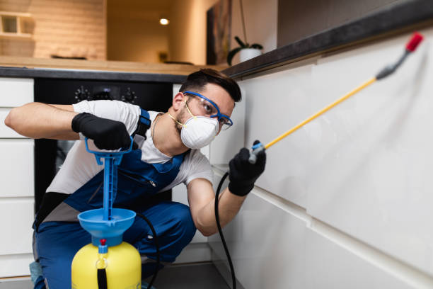 Best Local Pest Control Services  in Atkinson, IL