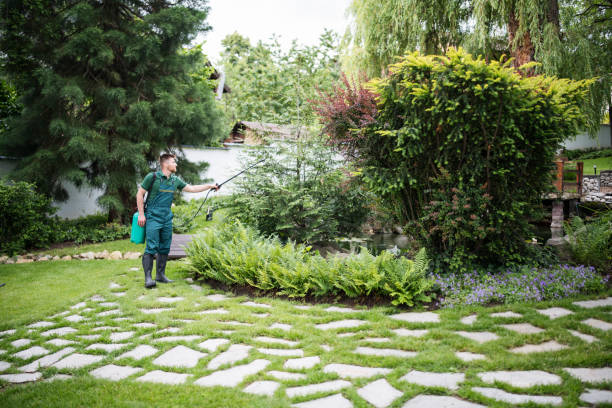 Best Commercial Pest Control Services  in Atkinson, IL