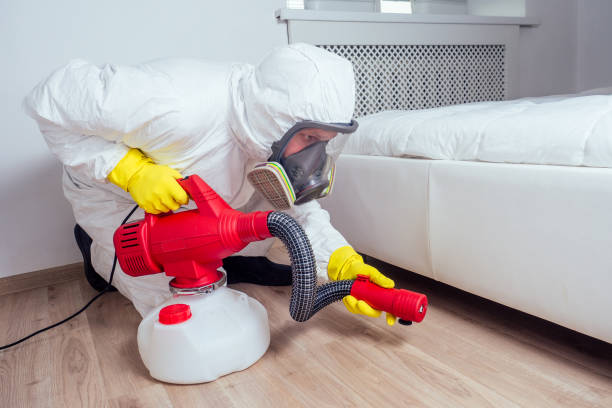 Best Flea Control Services  in Atkinson, IL