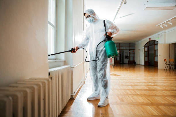 Best Termite Control Services  in Atkinson, IL
