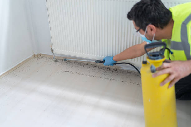 Best Local Pest Control Services  in Atkinson, IL