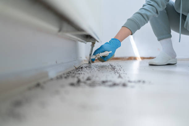 Best Pest Removal Services  in Atkinson, IL