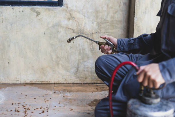 Best Pest Control Near Me  in Atkinson, IL