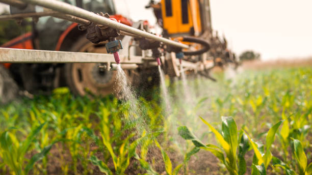 Best Pest Control Treatment  in Atkinson, IL